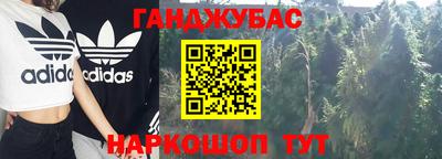 ешки Гай