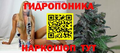 ешки Гай