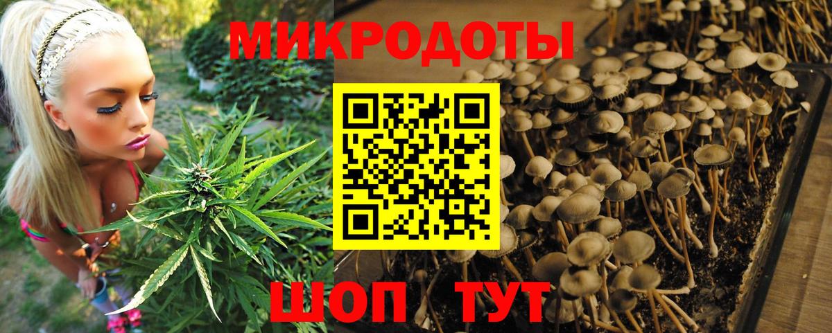 Галлюциногенные грибы ЛСД  Псилоцибиновые грибы мухоморы  купить наркотик  Нижневартовск  Вход с VPN 