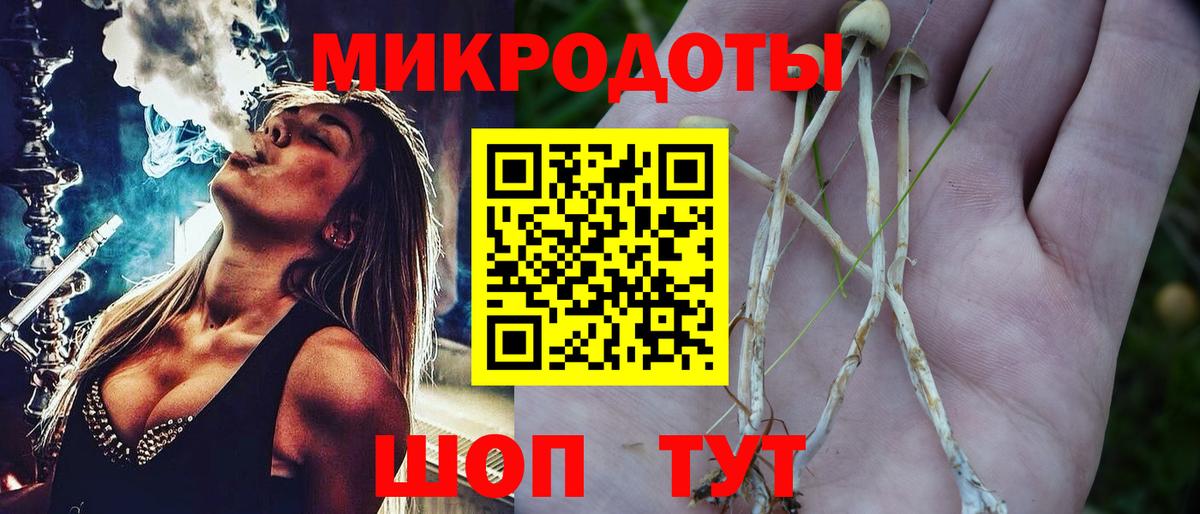 Галлюциногенные грибы Psilocybine cubensis Нижневартовск